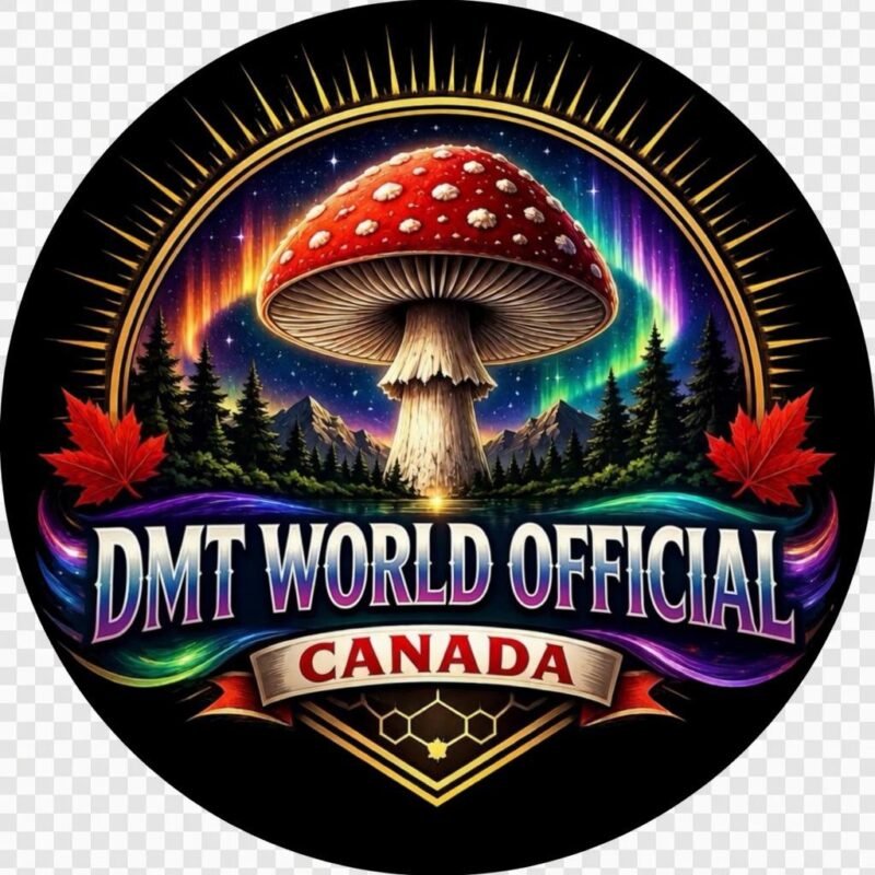 DMT WORLD CANADA