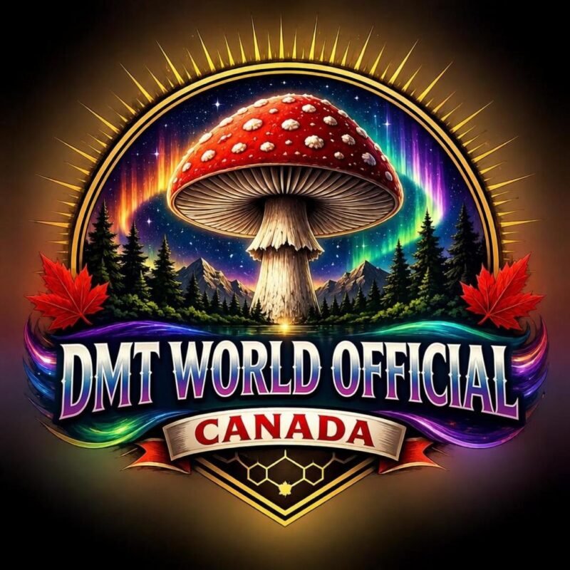 DMT WORLD CANADA